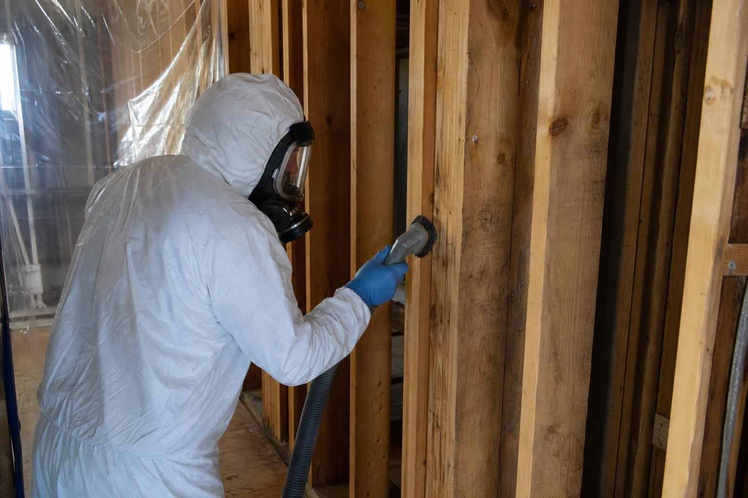 Technician treating wall studs with antimicrobial after black mold removal in a Dallas TX home