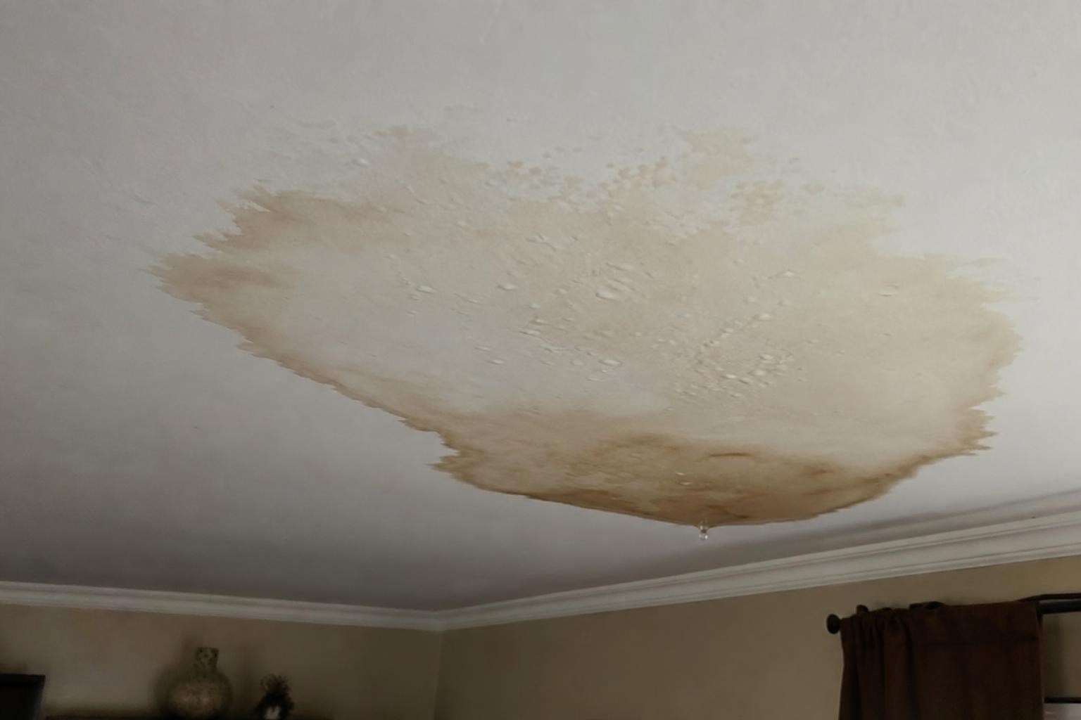 Does Homeowners Insurance Cover Water Damage? A Dallas Homeowner's Guide