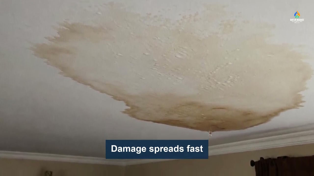 Video thumbnail: emergency water removal in Dallas TX